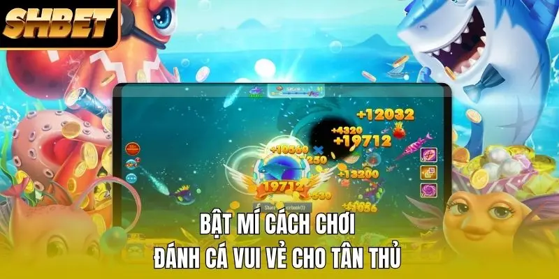 Bật mí cách chơi đánh cá vui vẻ cho tân thủ
